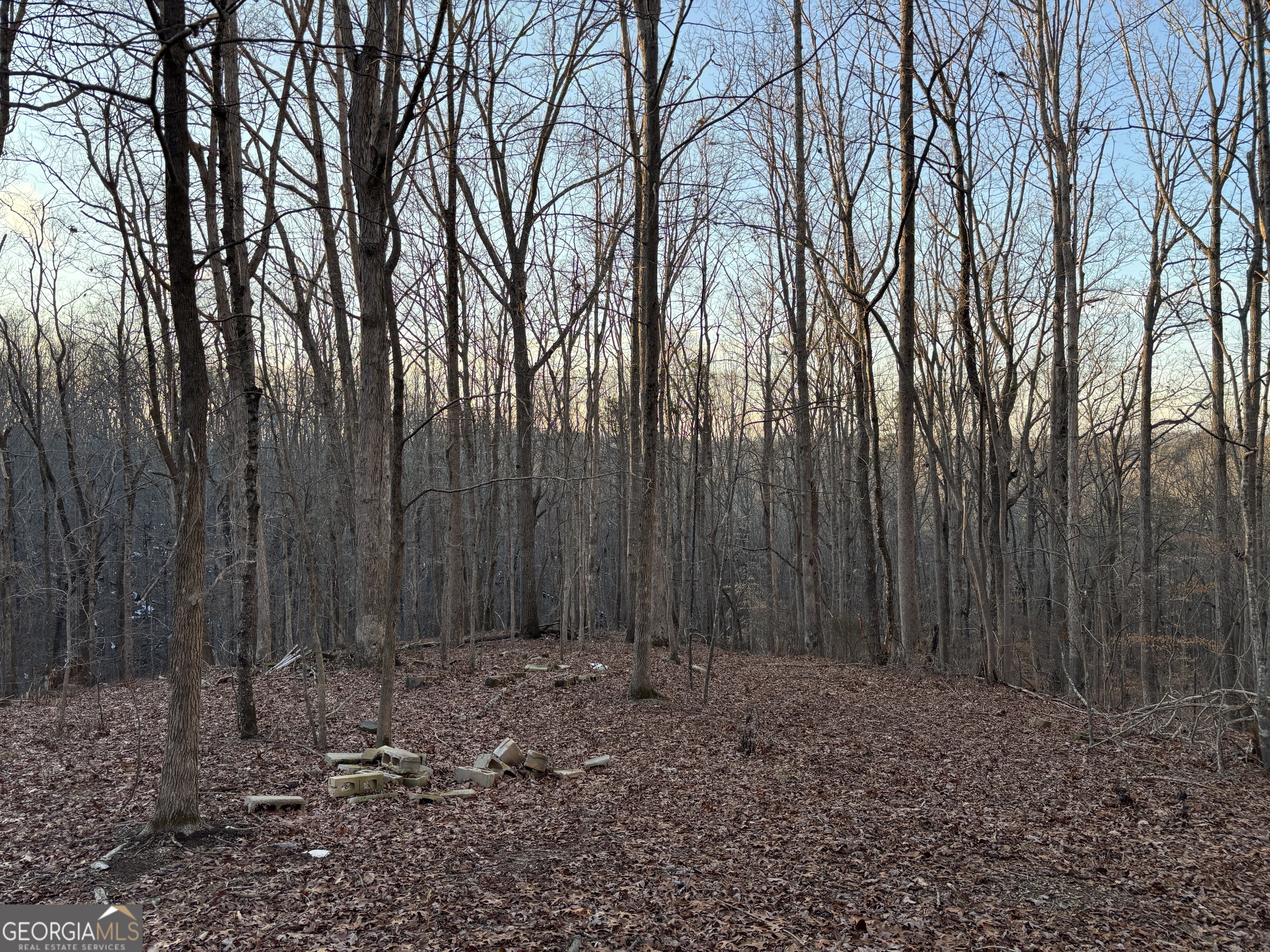 7175 Anderson Lake Road Property Photo 14