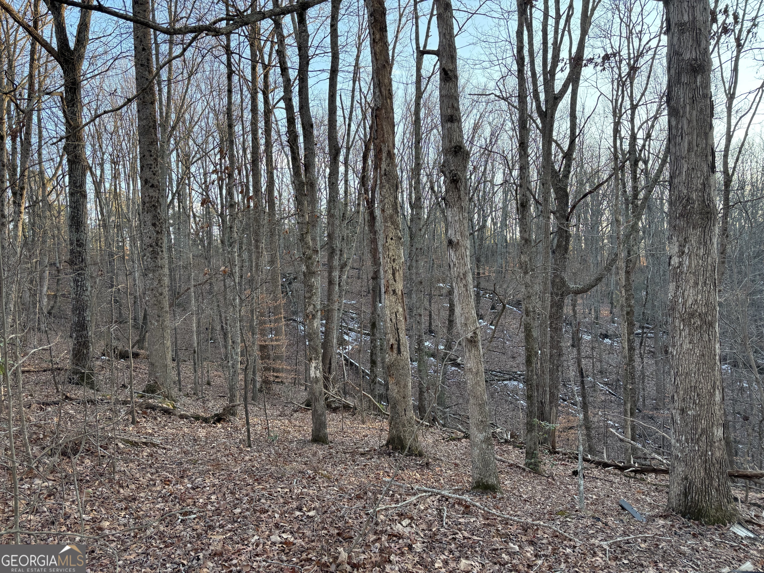7175 Anderson Lake Road Property Photo 15