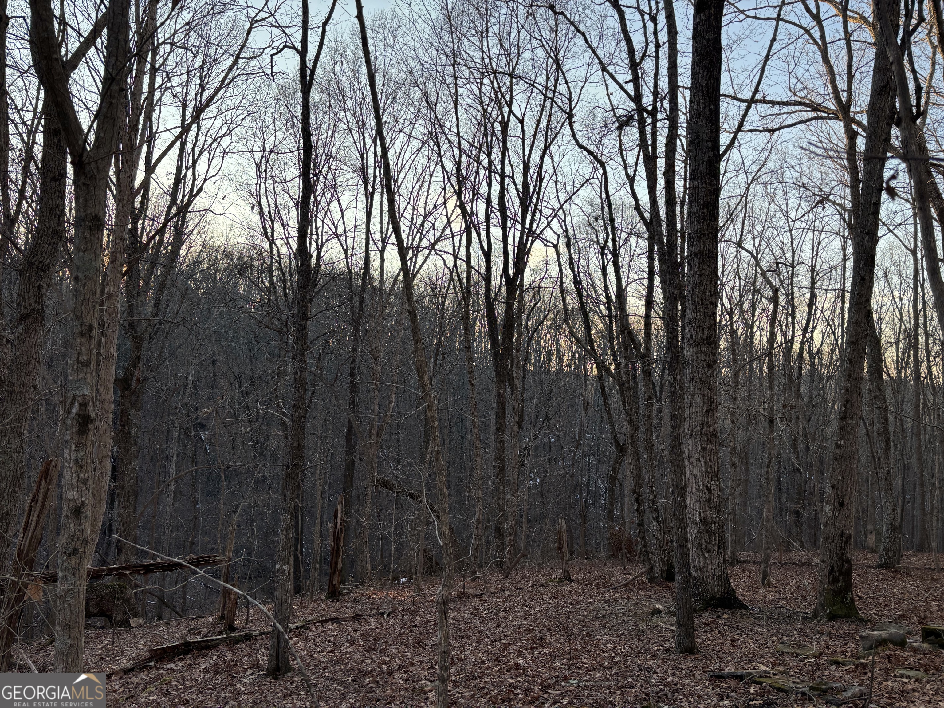 7175 Anderson Lake Road Property Photo 16