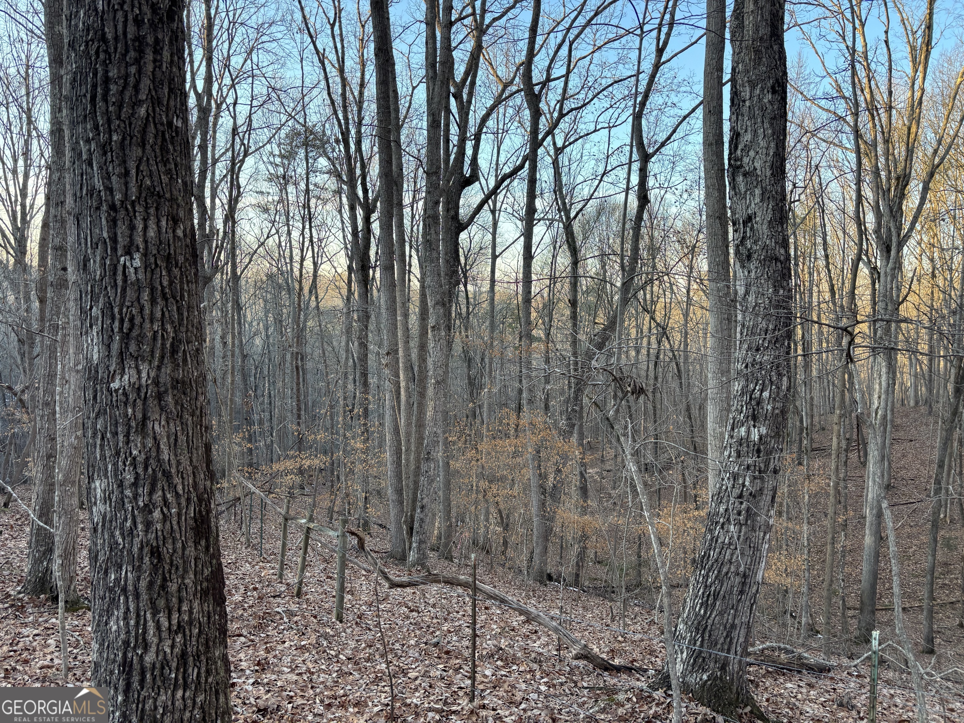 7175 Anderson Lake Road Property Photo 17