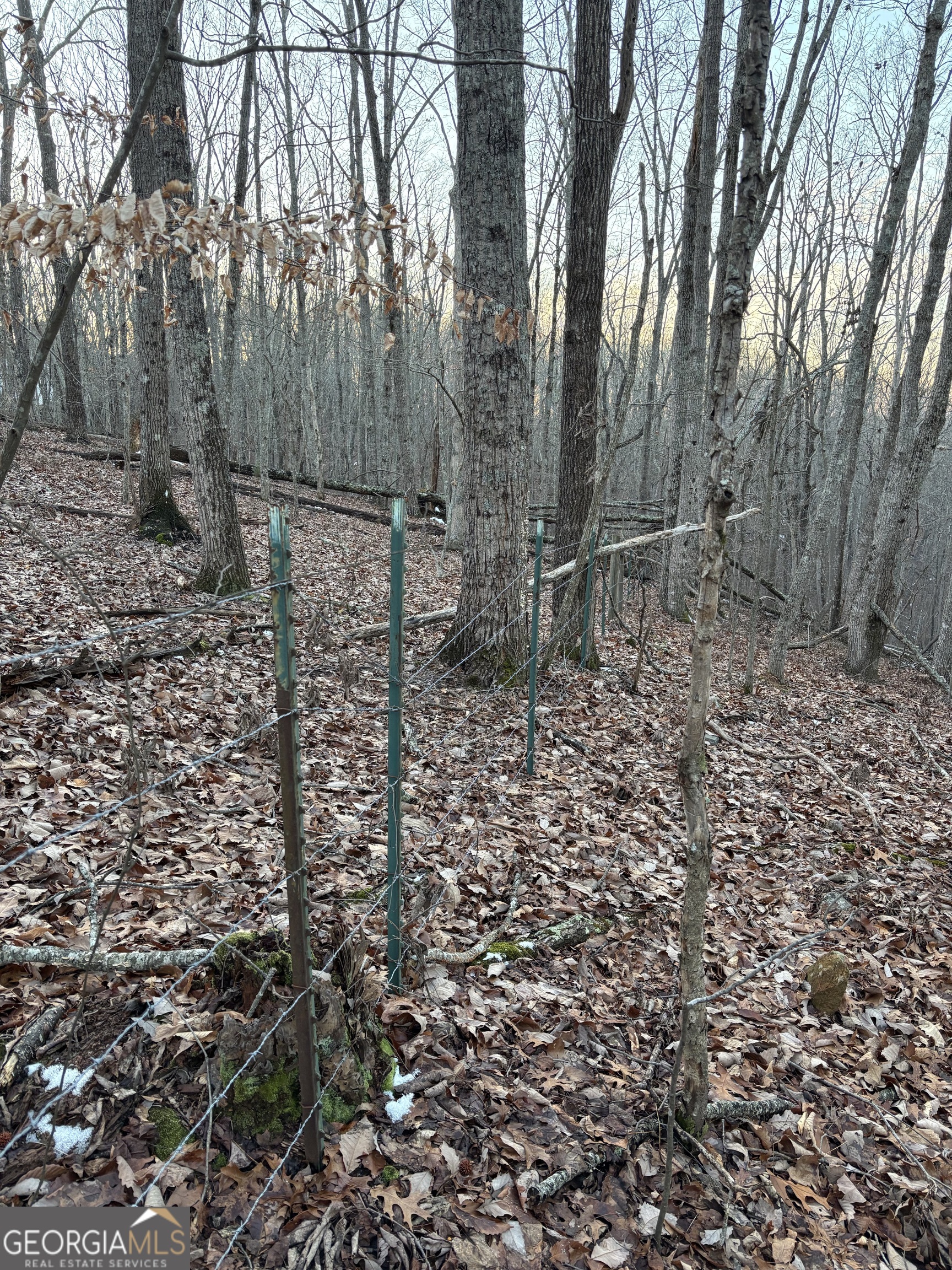 7175 Anderson Lake Road Property Photo 18