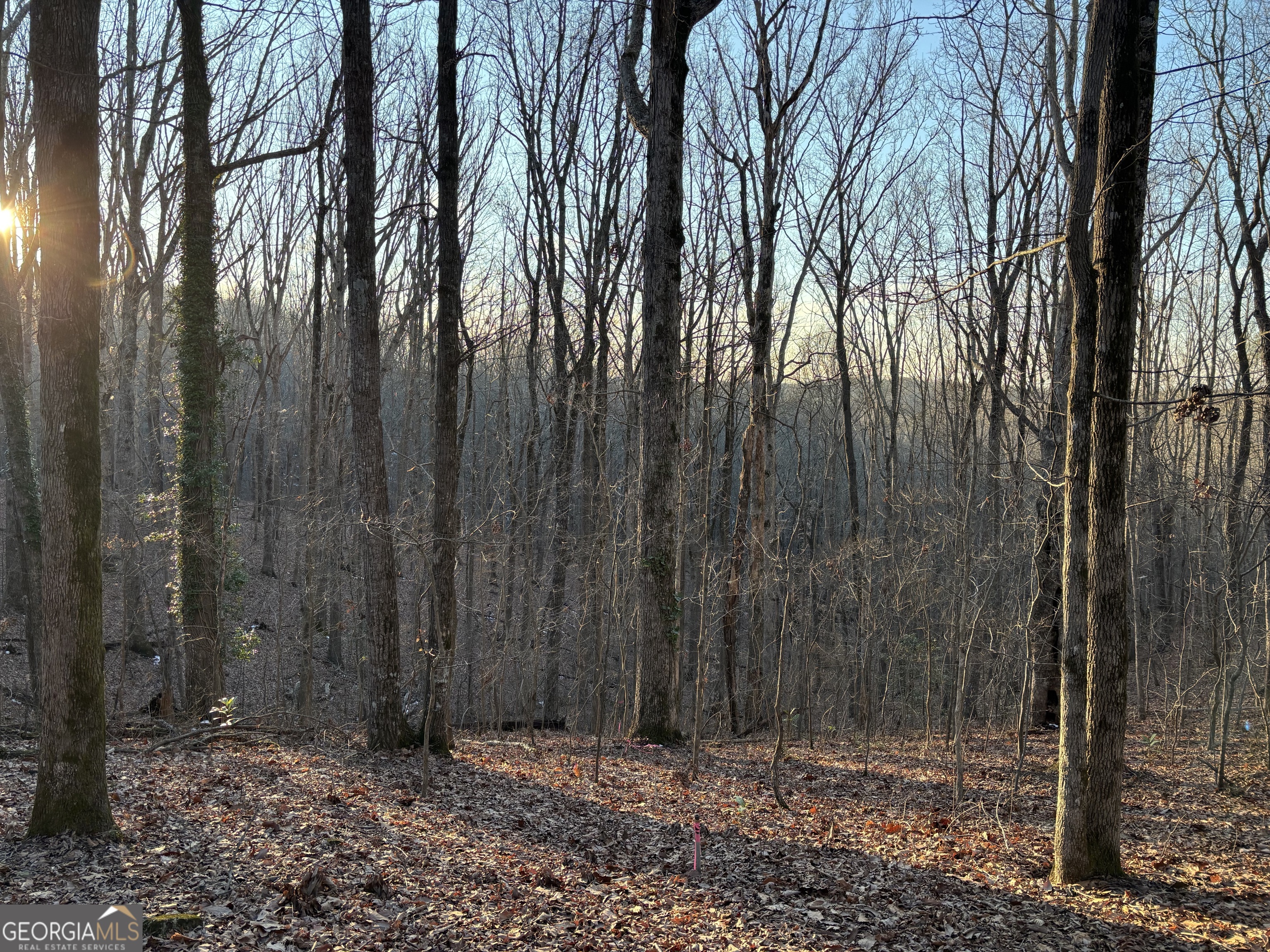 7175 Anderson Lake Road Property Photo 19