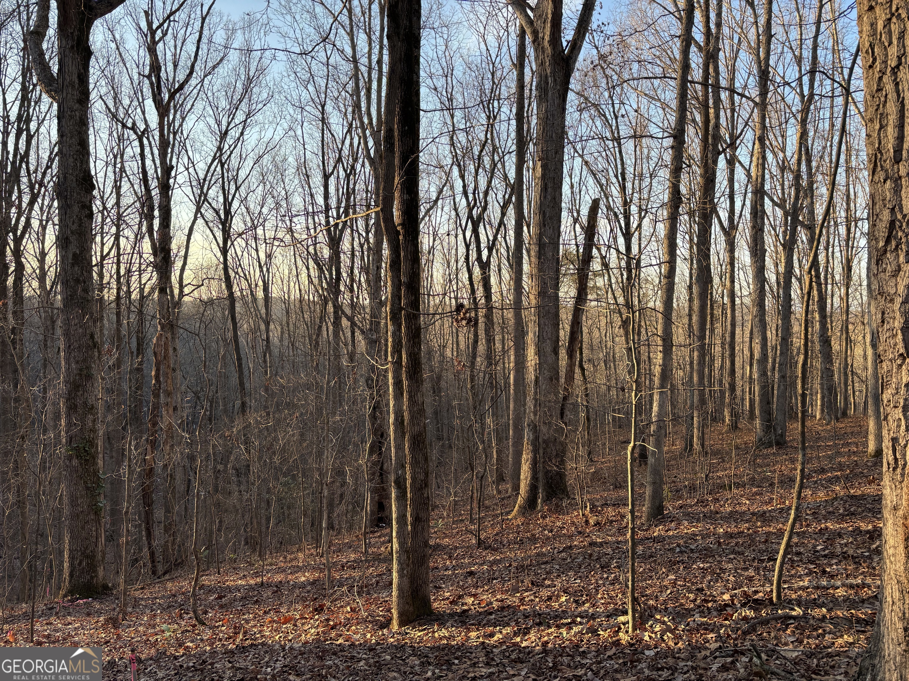 7175 Anderson Lake Road Property Photo 20