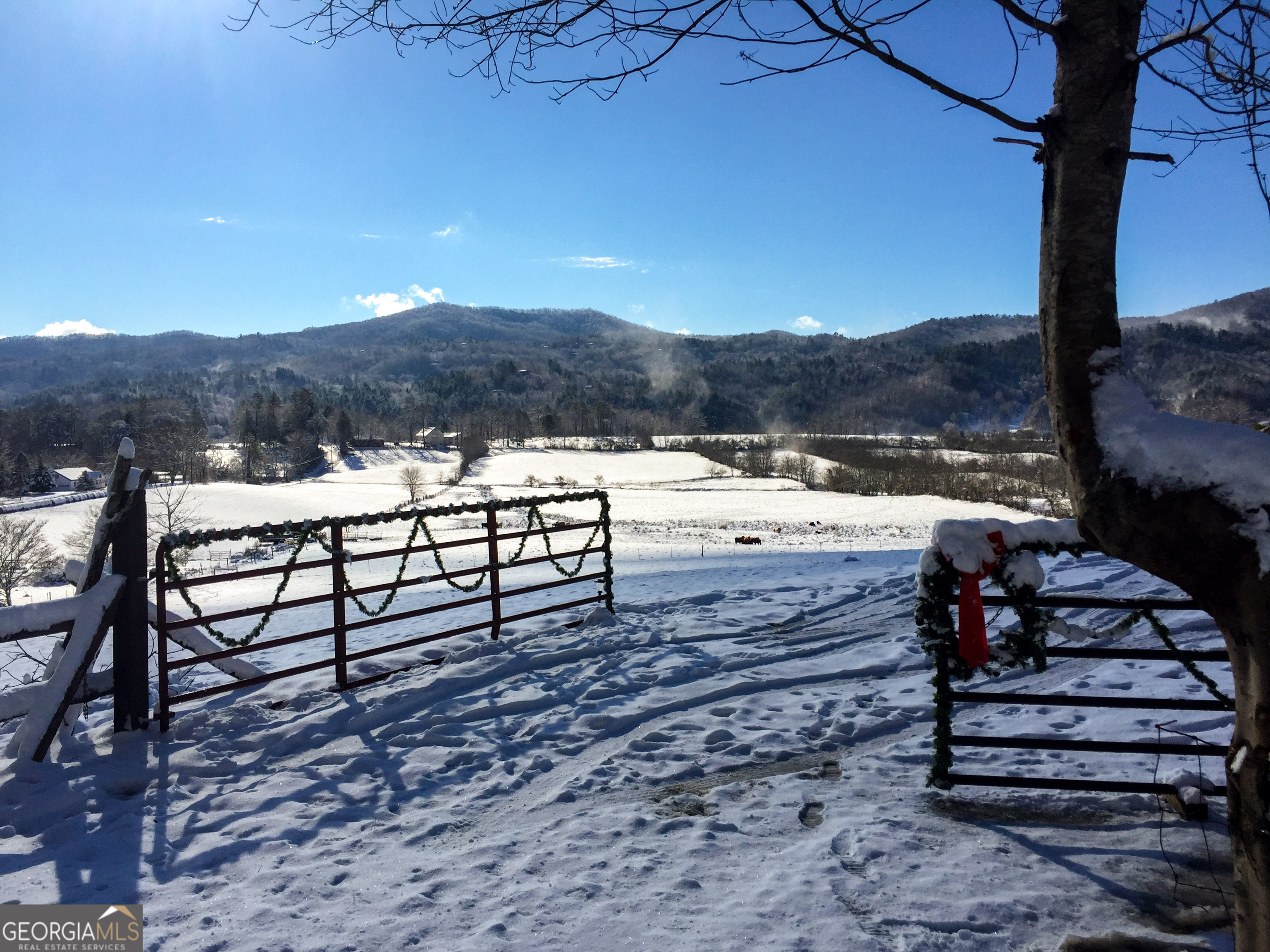 5192 Wolffork Road Property Photo 12