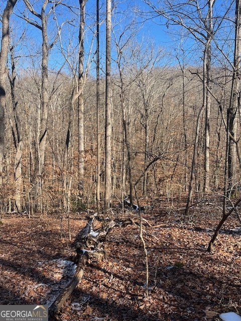 Lot 2171 N Sundew Property Photo