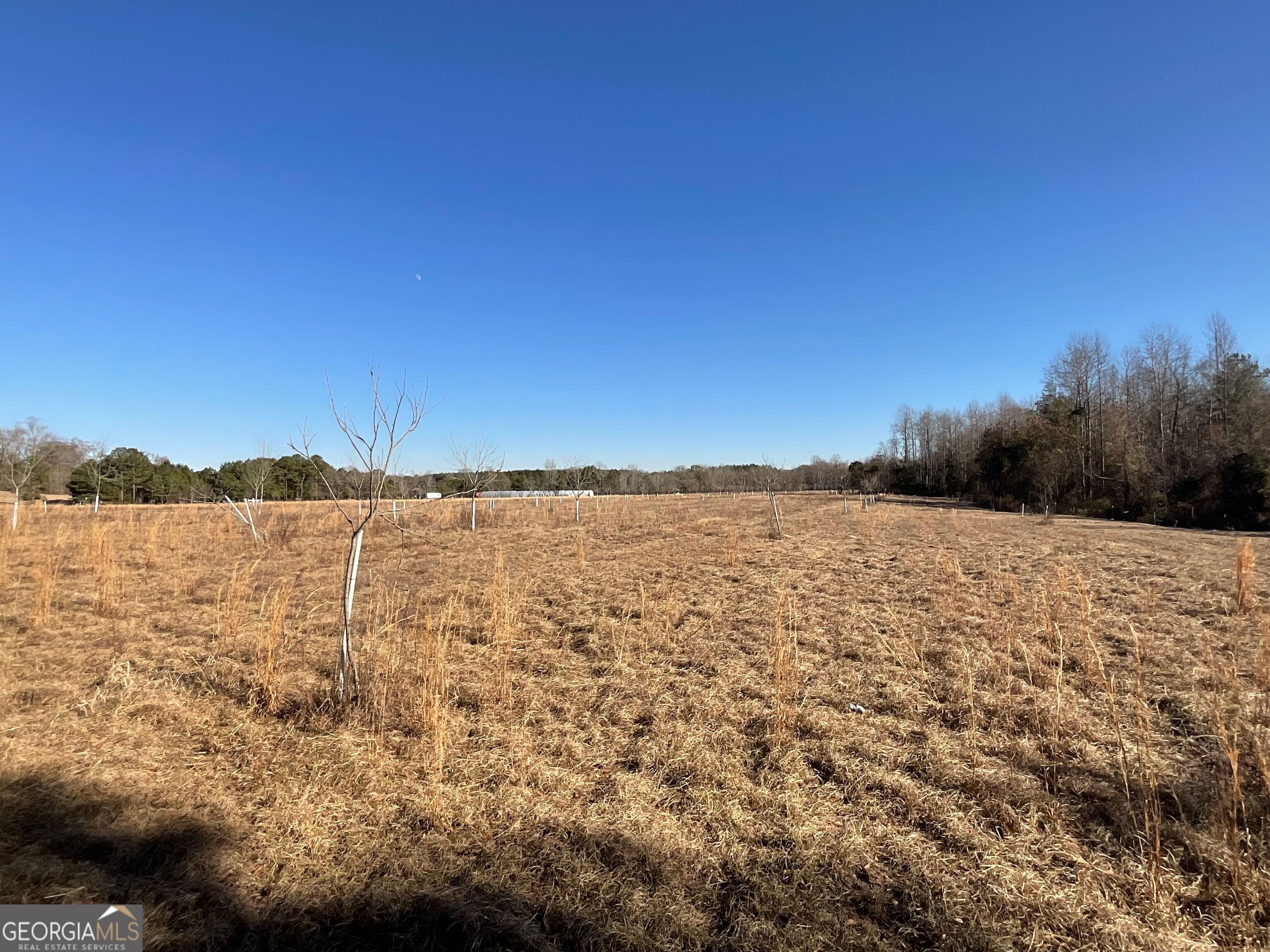 965 Fountain Road Property Photo 9