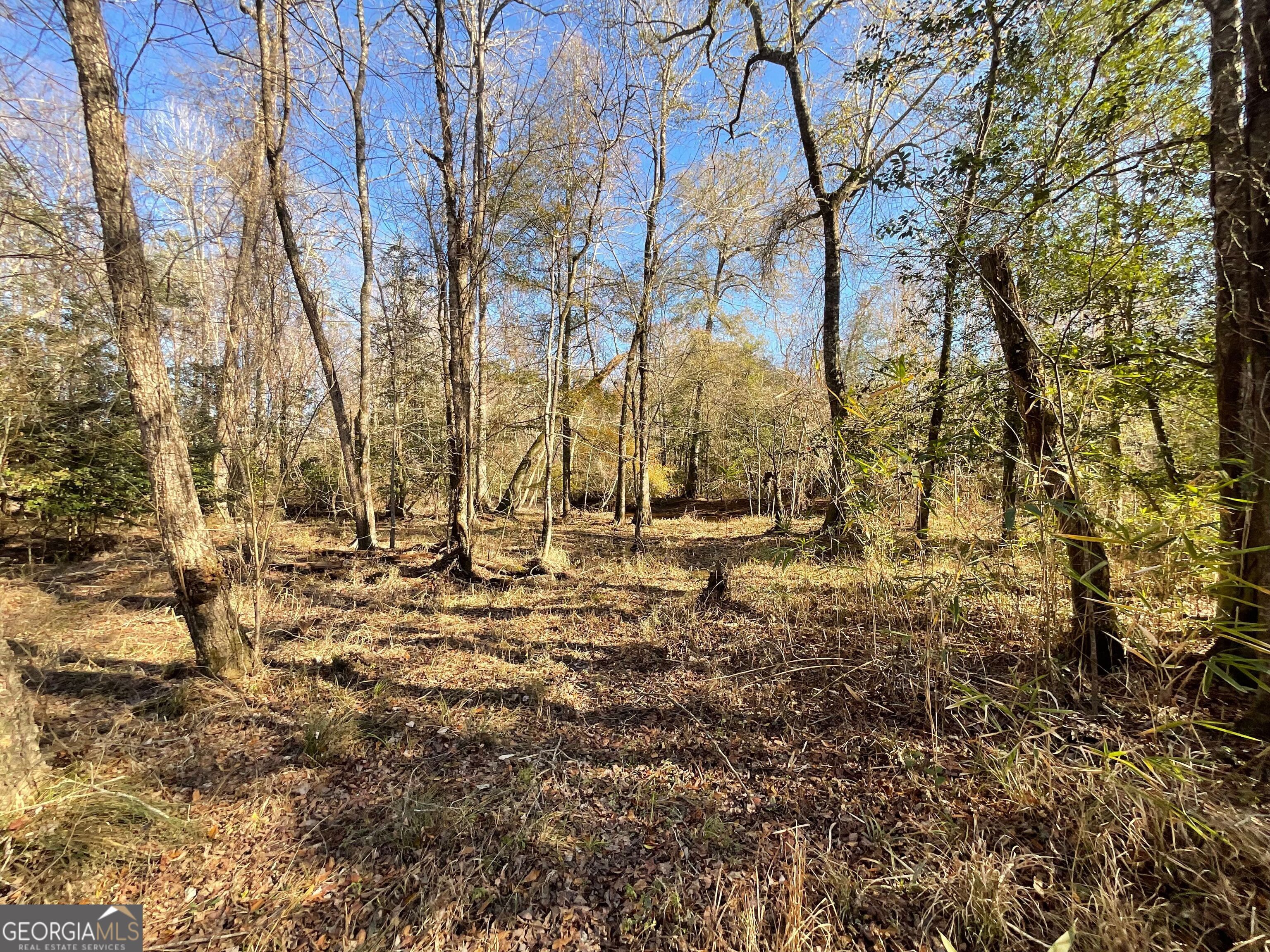 965 Fountain Road Property Photo 19