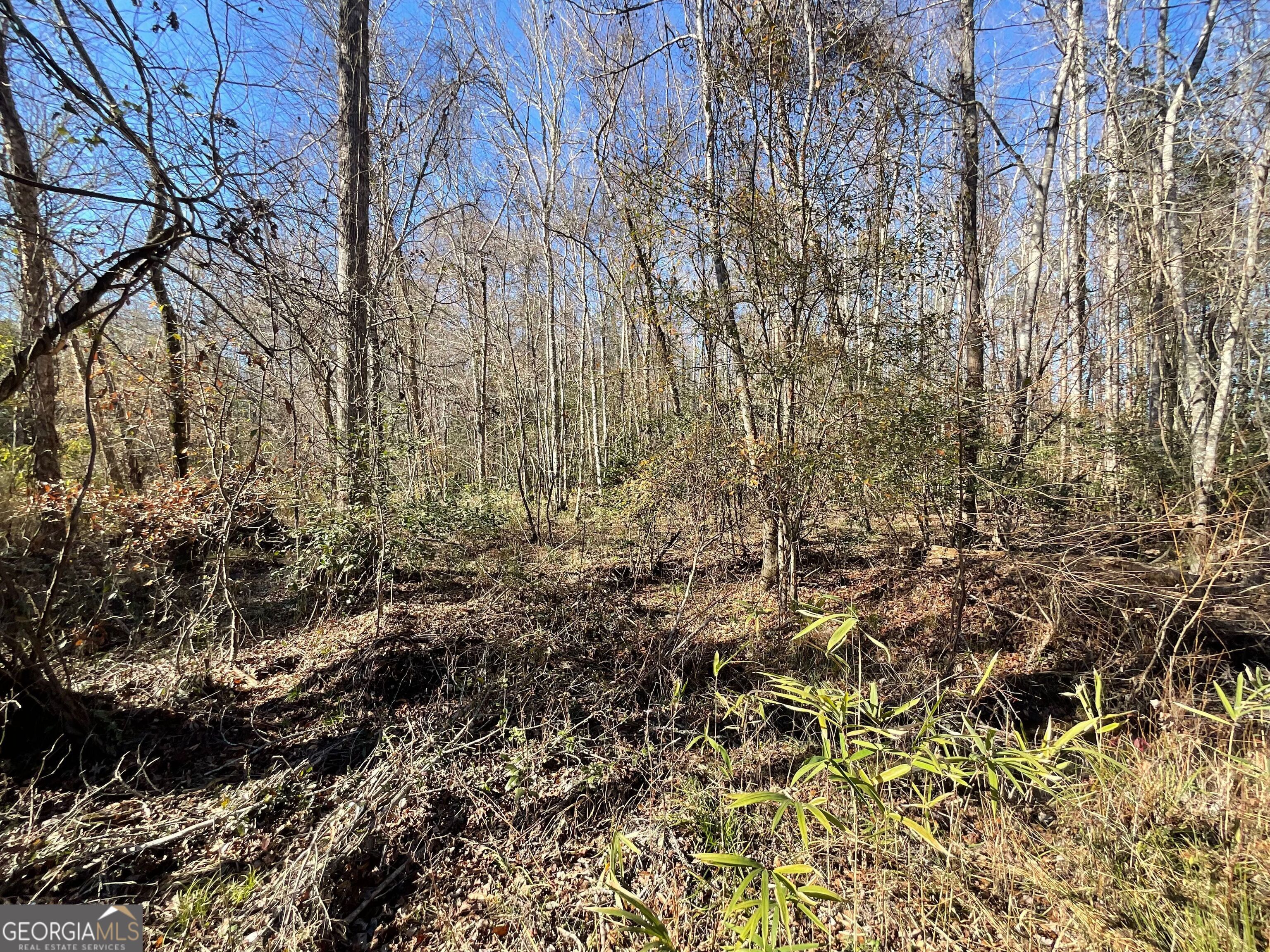 965 Fountain Road Property Photo 24