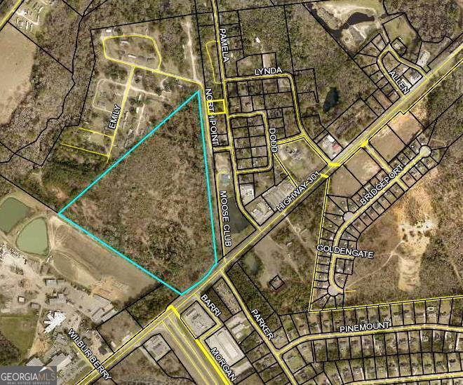 0 Highway 301 N Property Photo