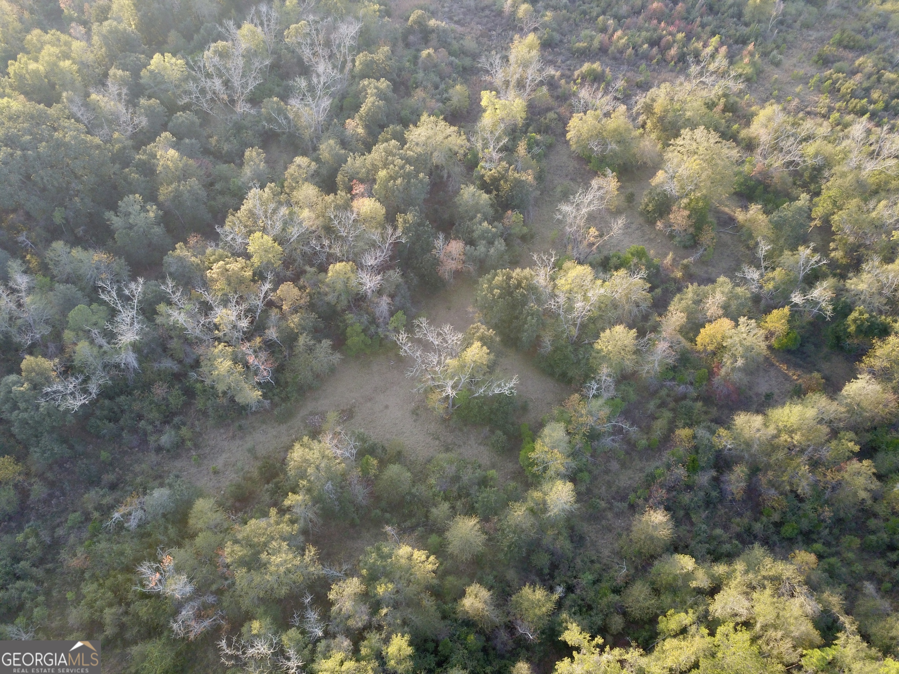 0 Highway 301 N Property Photo 18