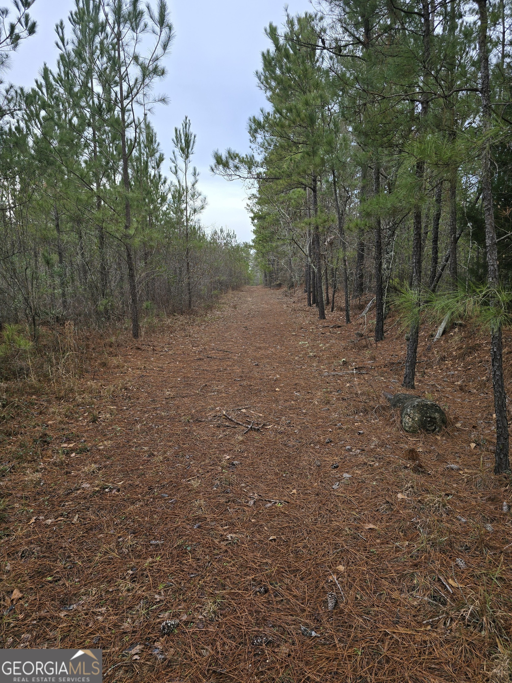 0 Jackson Gin Road Property Photo