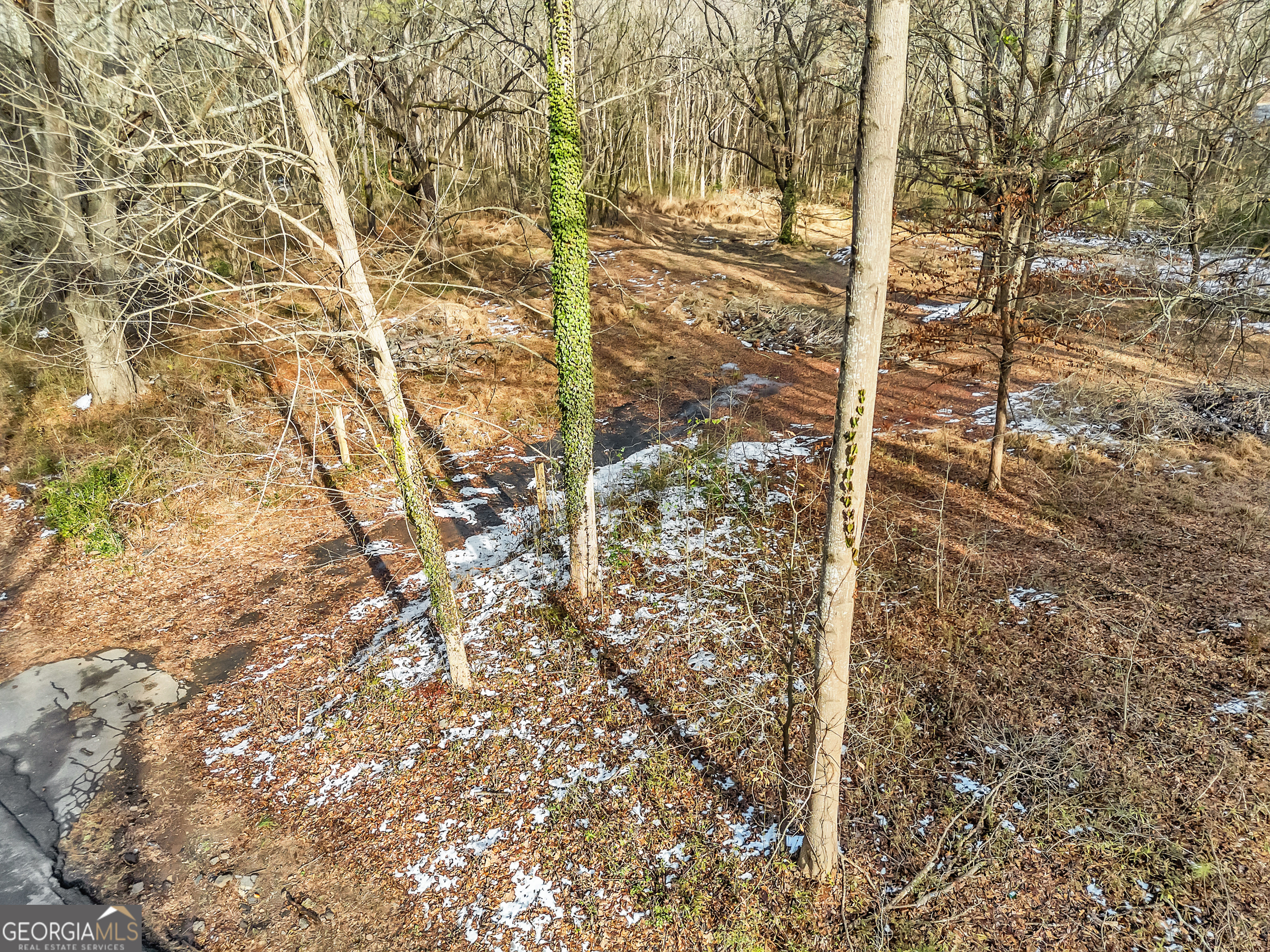 3648 Panthersville Road Property Photo 5