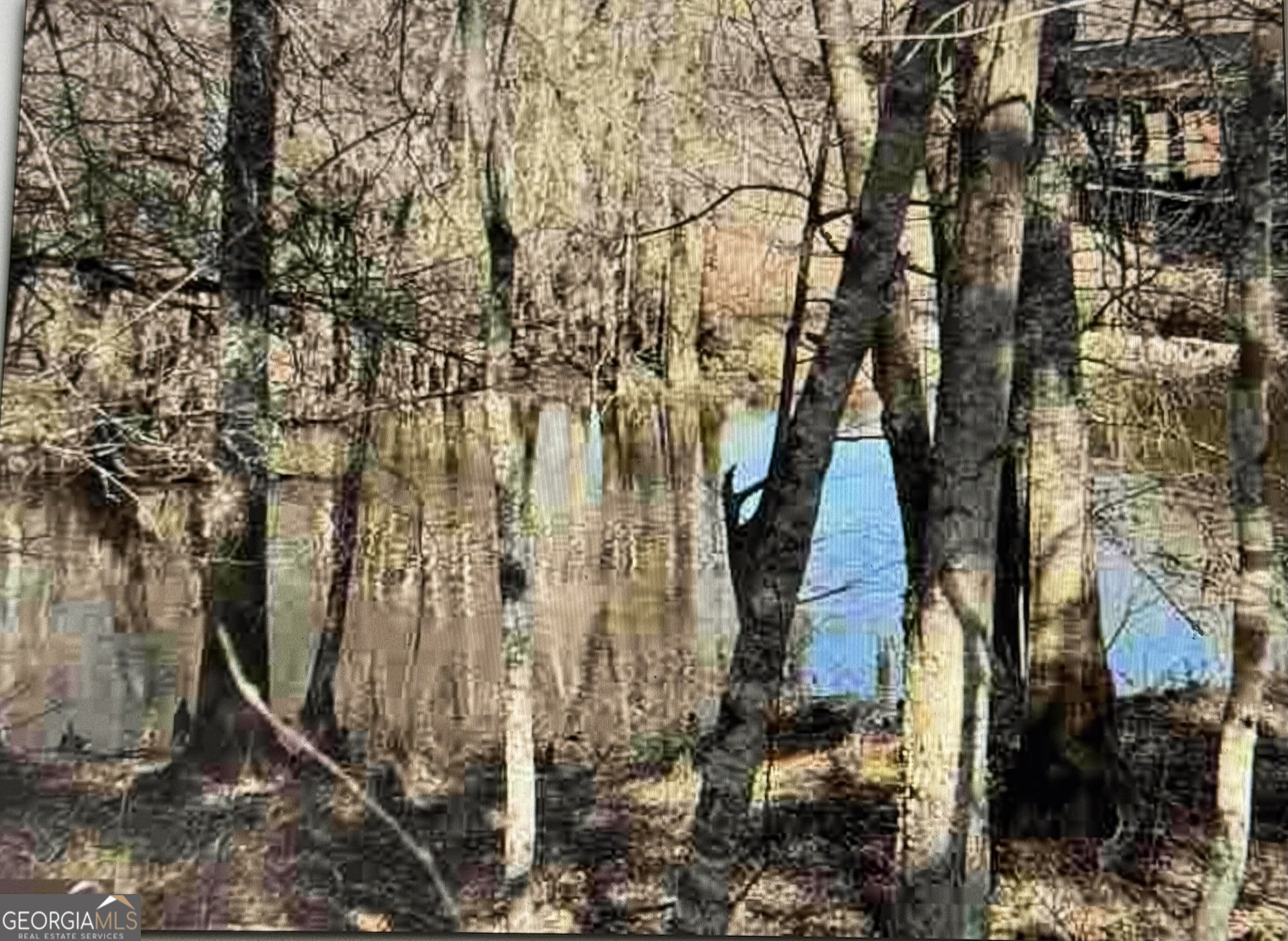 0 Griffin Ferry Property Photo 3