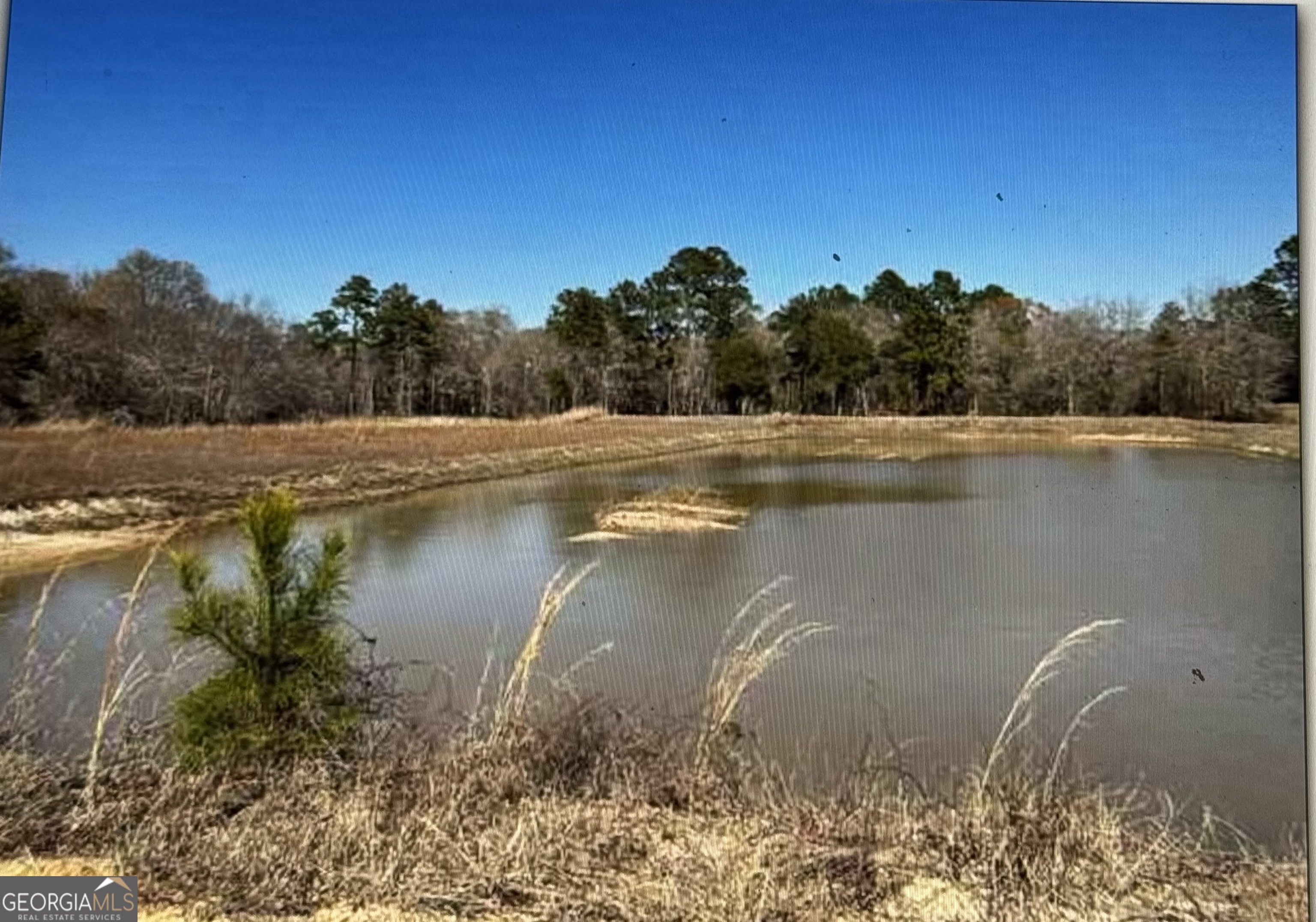 0 Griffin Ferry Property Photo 5