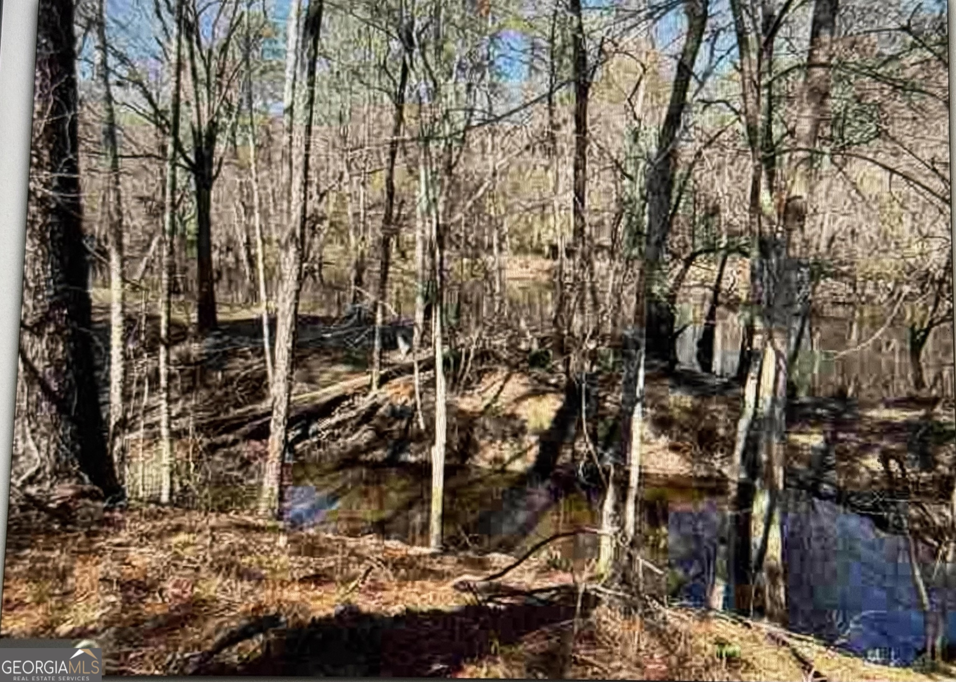 0 Griffin Ferry Property Photo 6