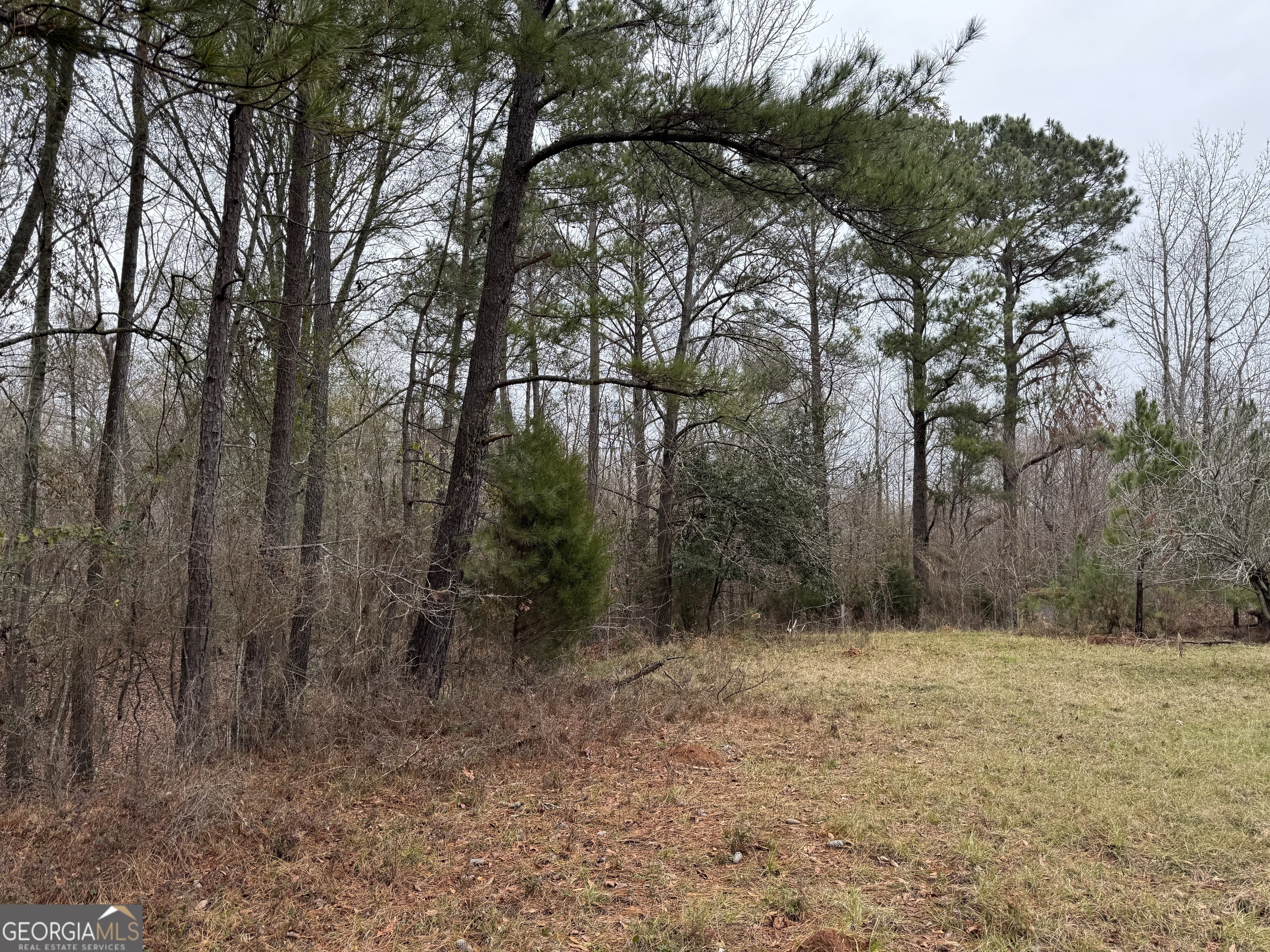 206 Gooseneck Lane Property Photo 7