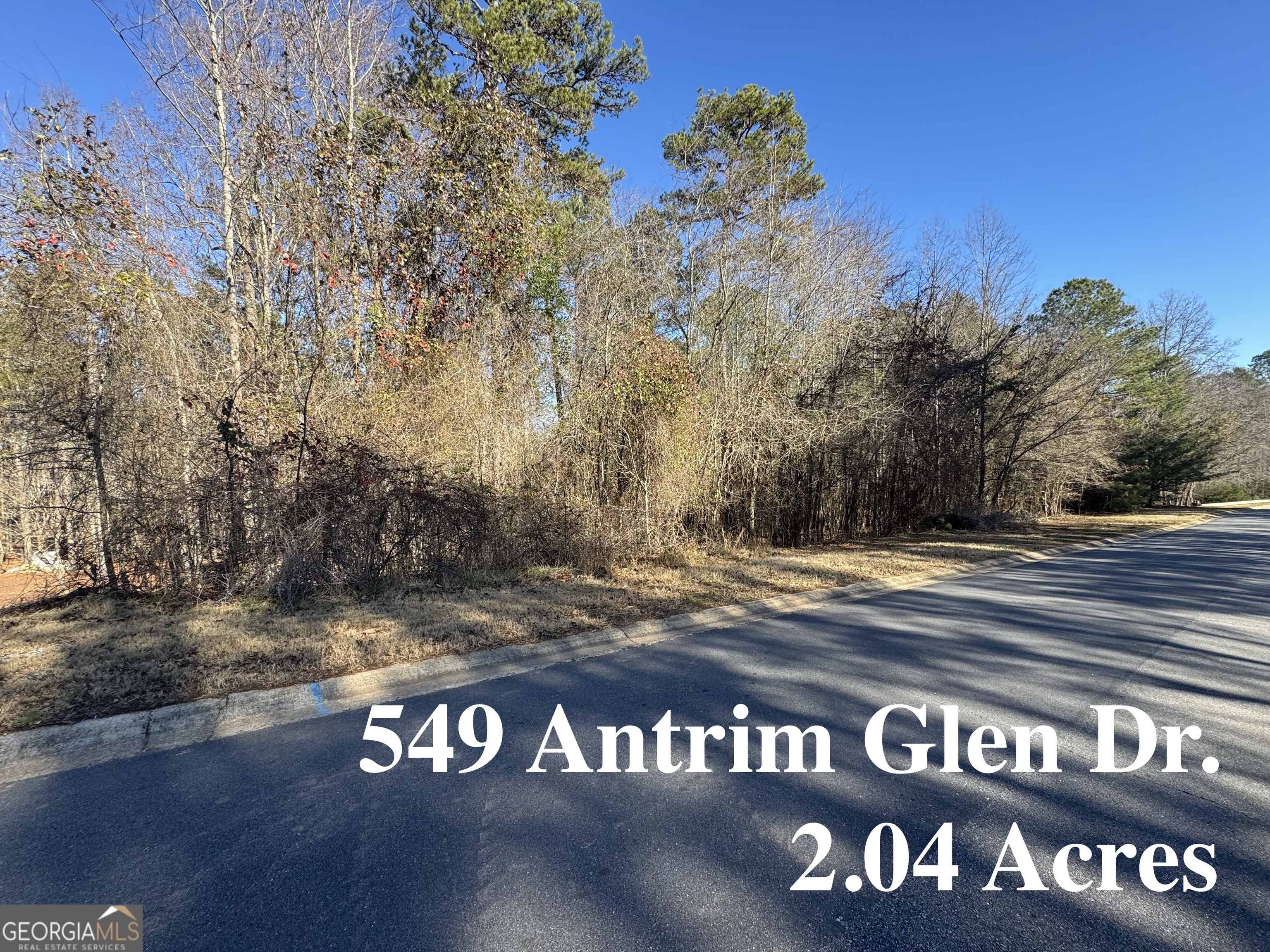 549 ANTRIM GLEN Drive