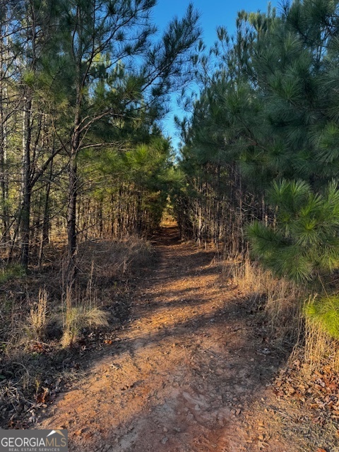 28.59 Acres In Henry County Property Photo 2