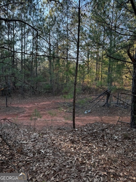 28.59 Acres In Henry County Property Photo 3