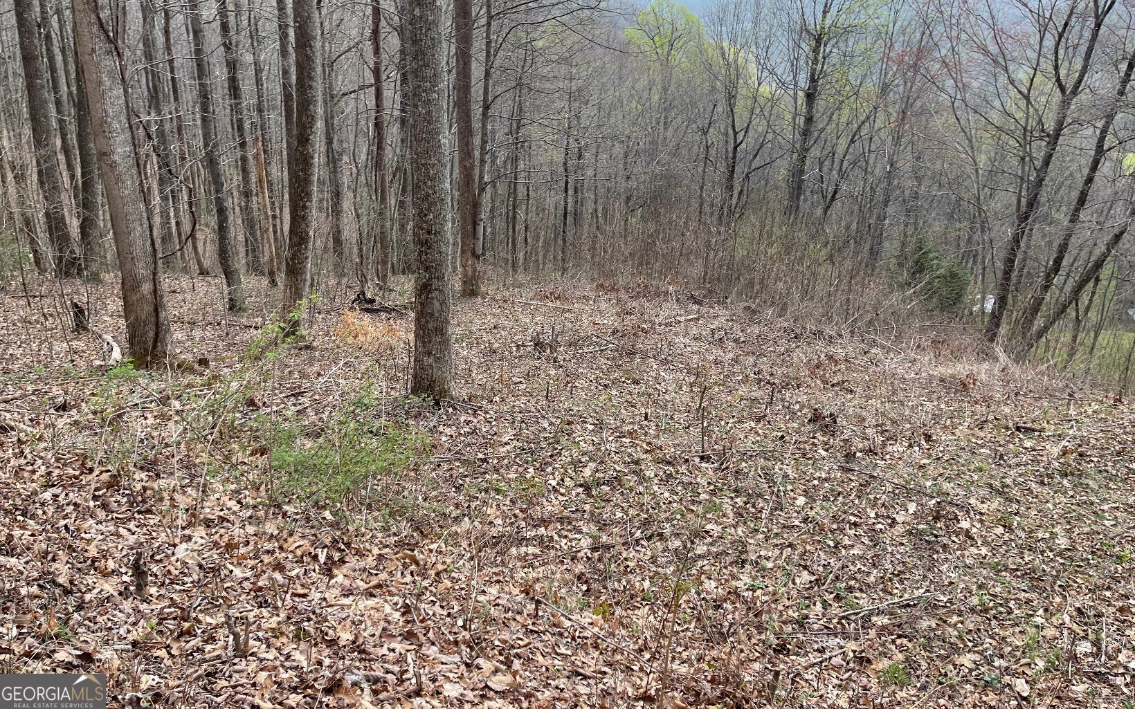 Lot 30 High Meadows Property Photo 3