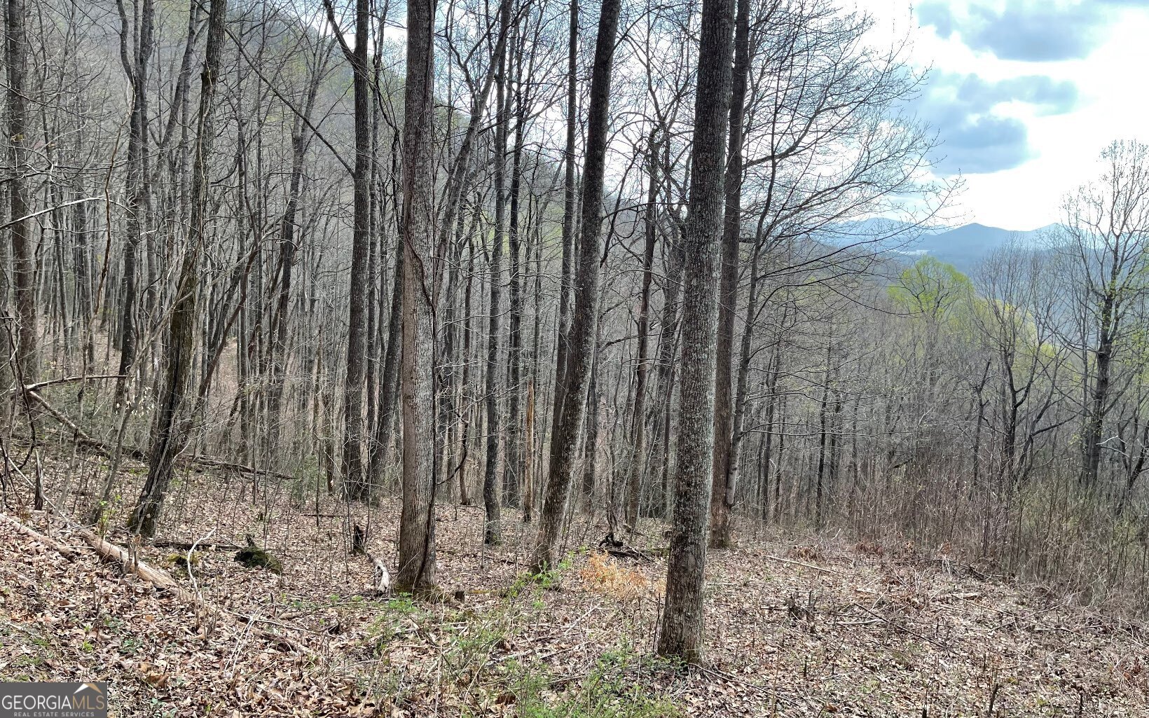 Lot 30 High Meadows Property Photo 4