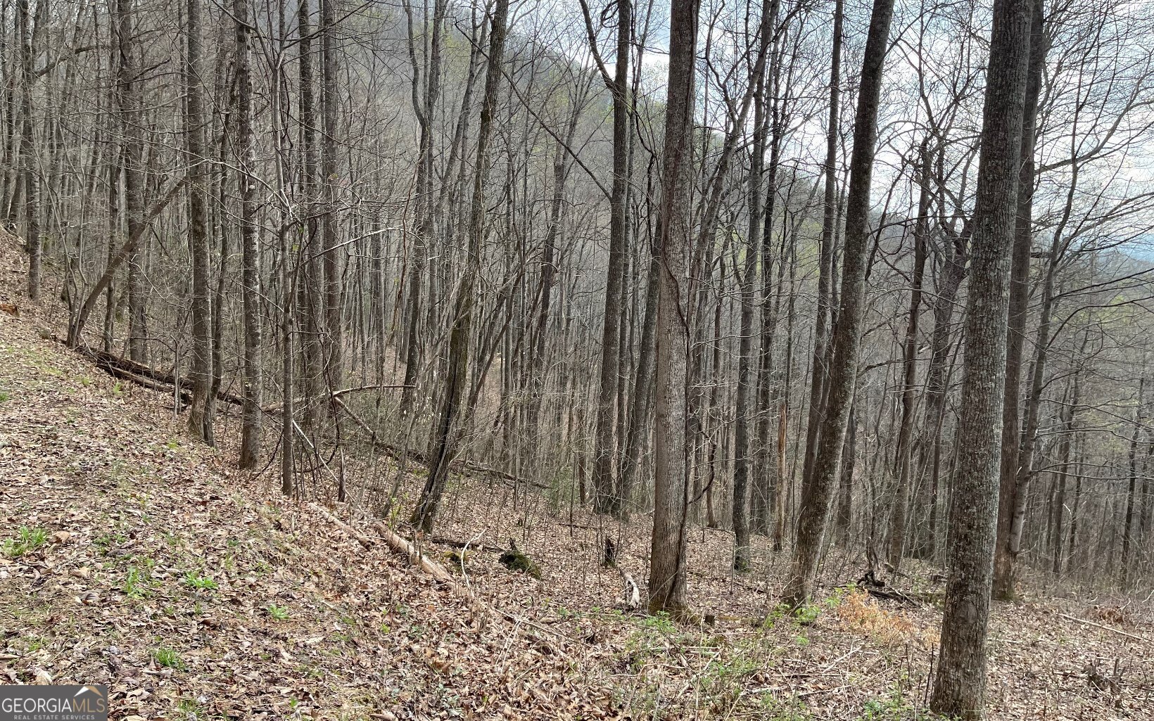 Lot 30 High Meadows Property Photo 5