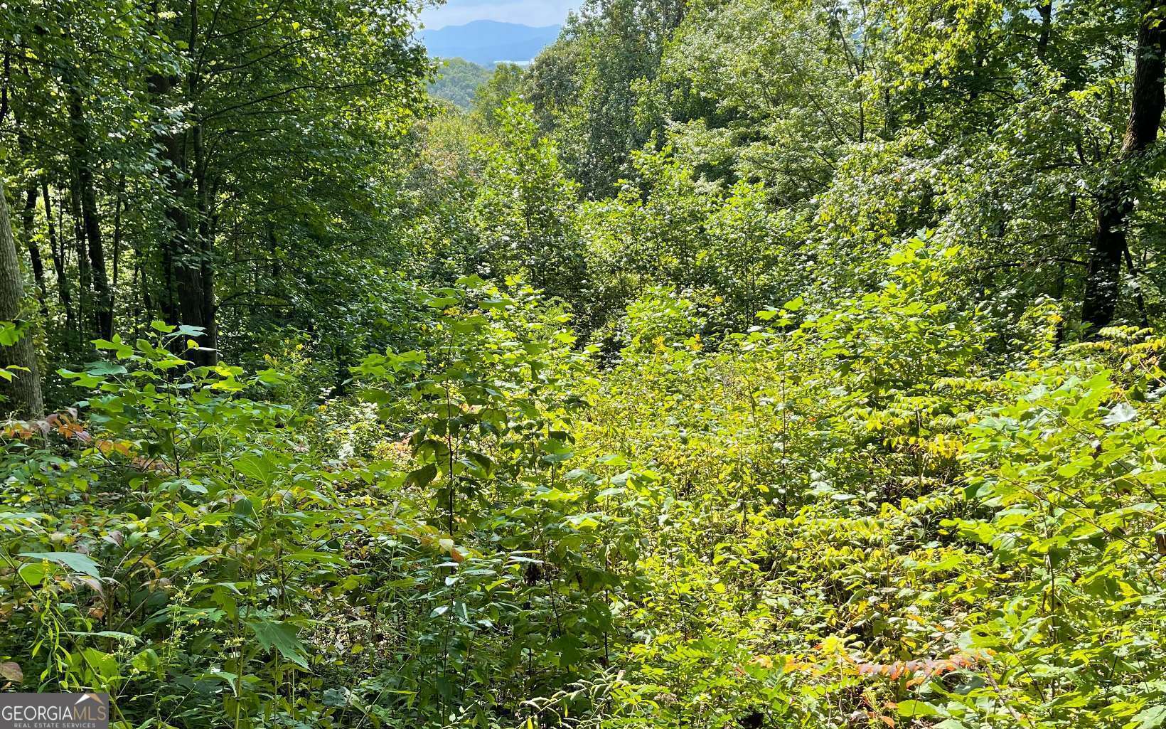 Lot 30 High Meadows Property Photo 11
