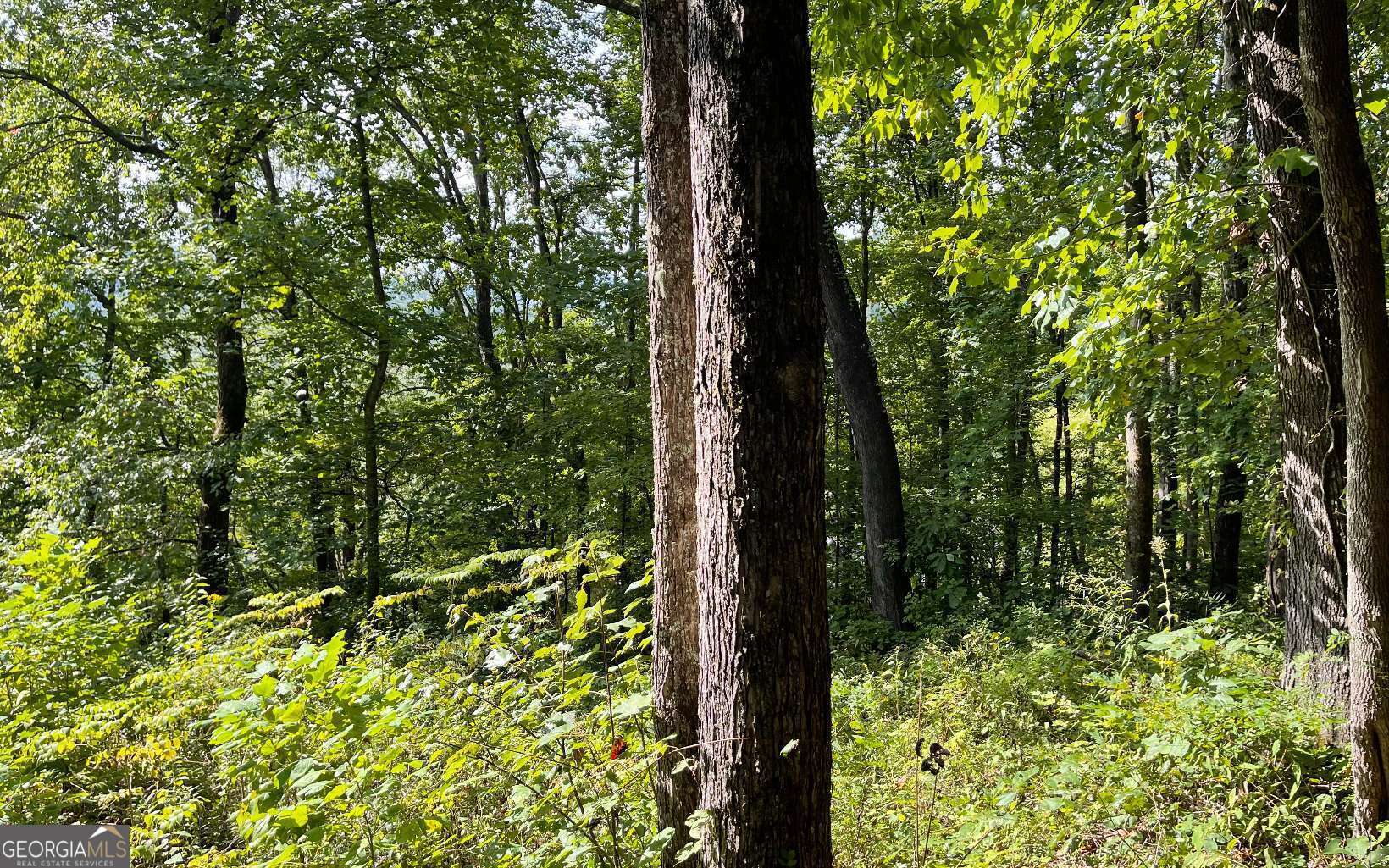 Lot 30 High Meadows Property Photo 12