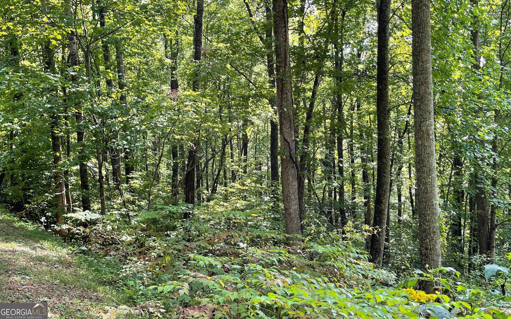 Lot 30 High Meadows Property Photo 14