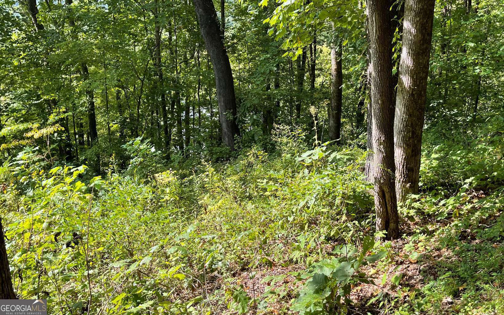 Lot 30 High Meadows Property Photo 16