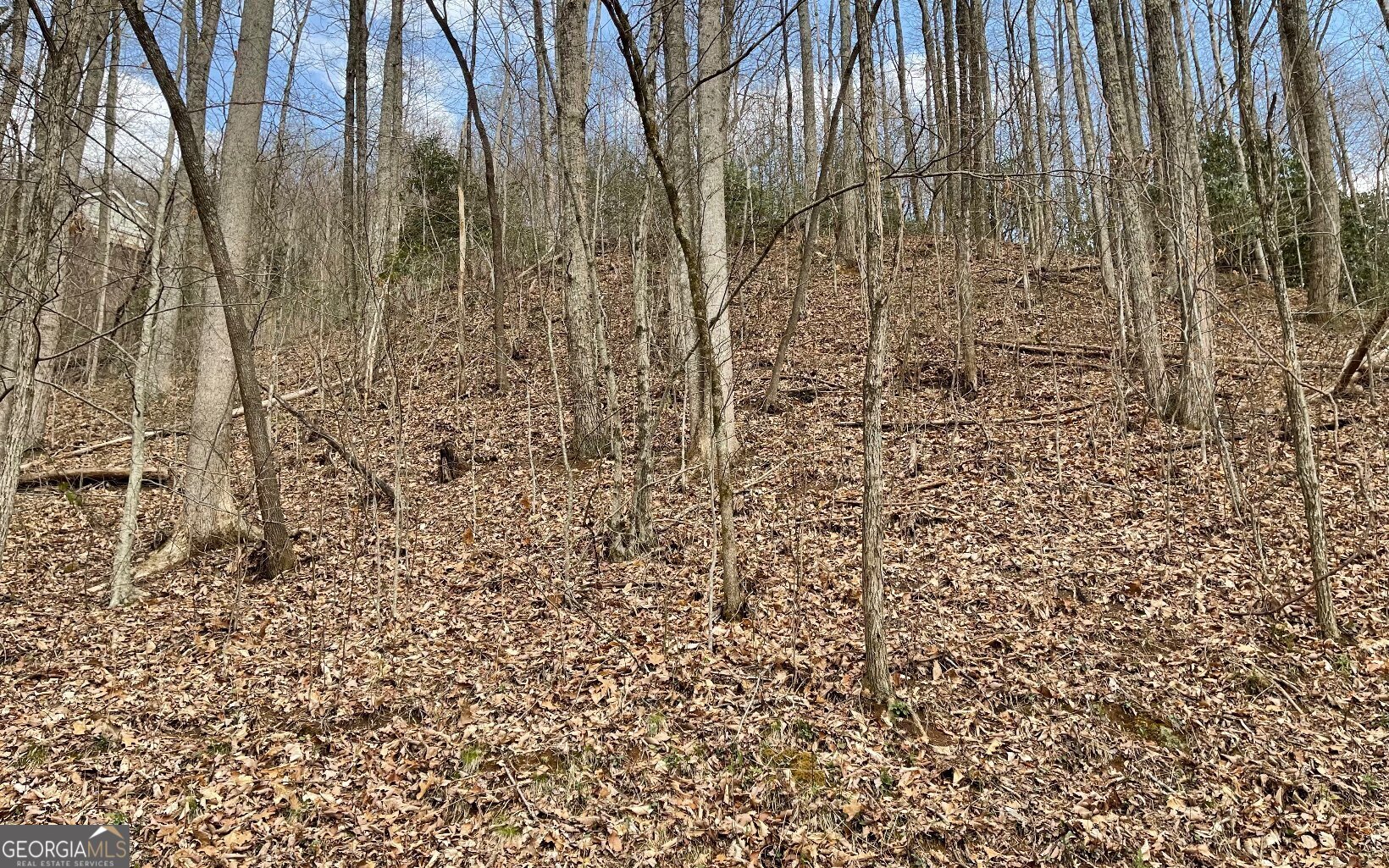 Lot 30 High Meadows Property Photo 17