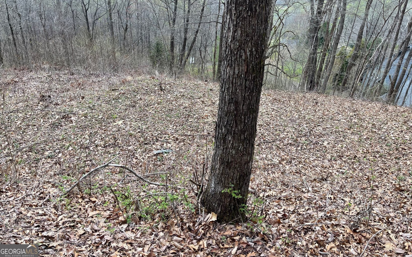 Lot 30 High Meadows Property Photo 24
