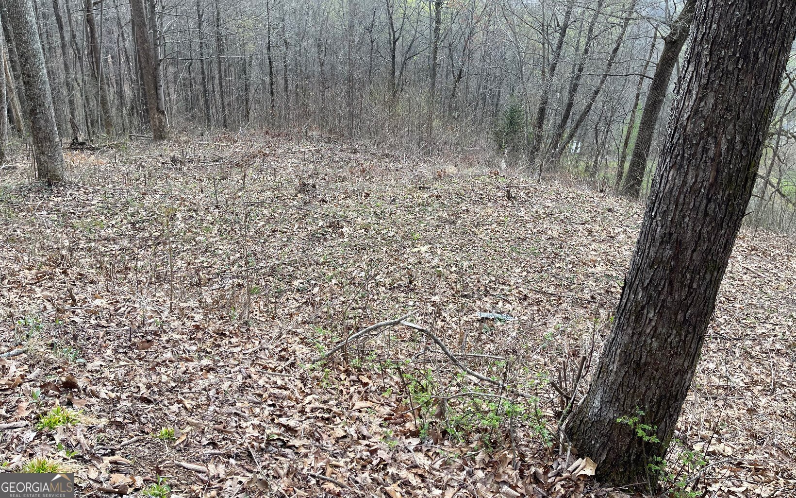 Lot 30 High Meadows Property Photo 25