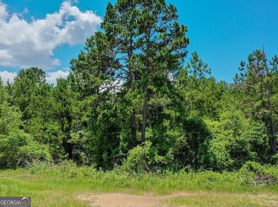640 Sparta Highway Property Photo 13