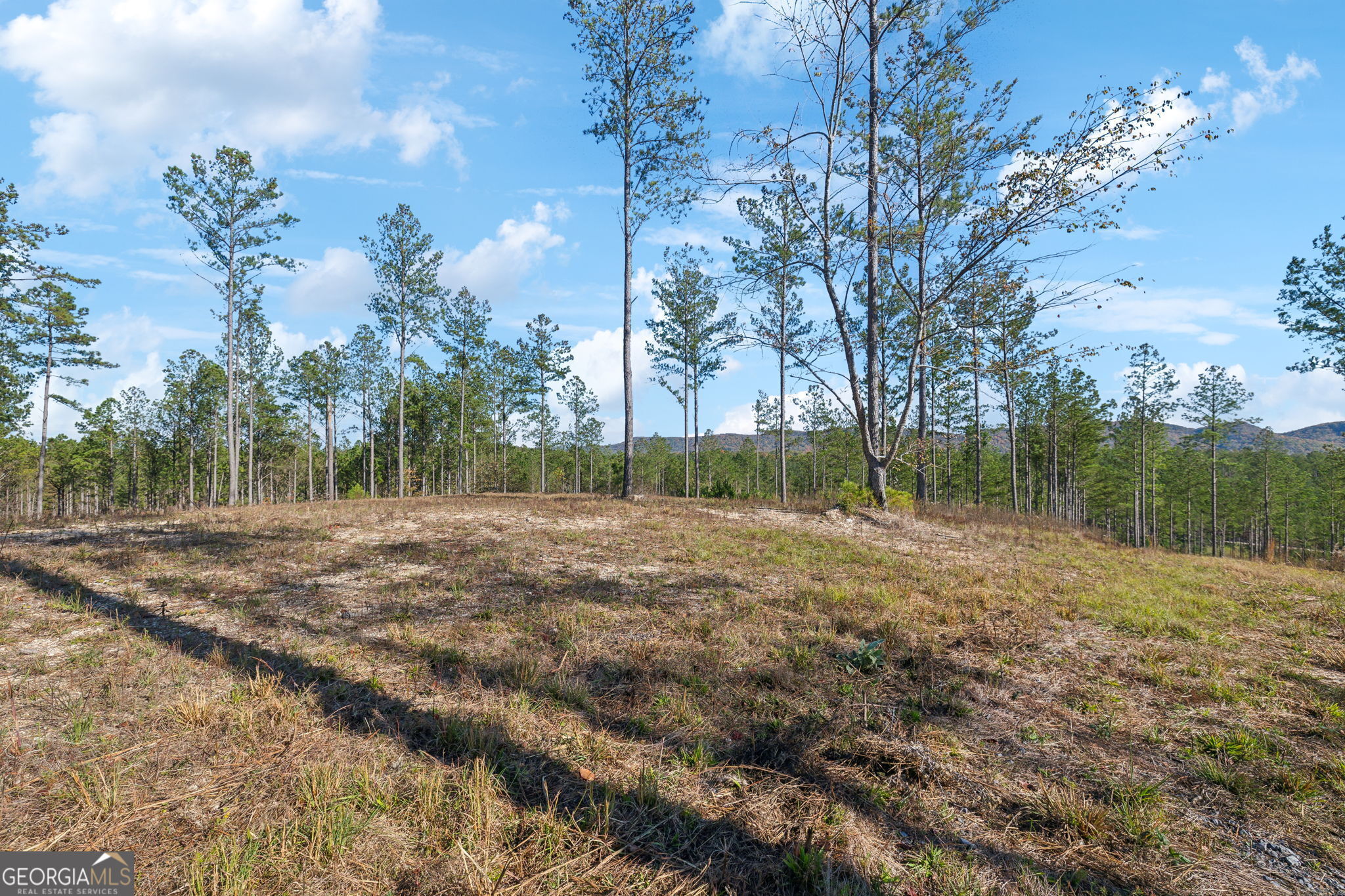 0 County Road 62 Property Photo 4