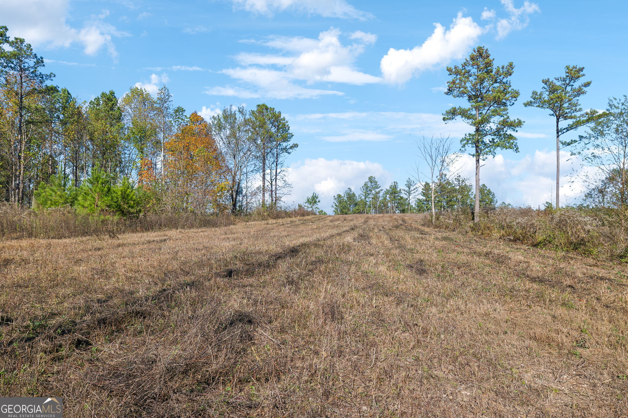 0 County Road 62 Property Photo 6