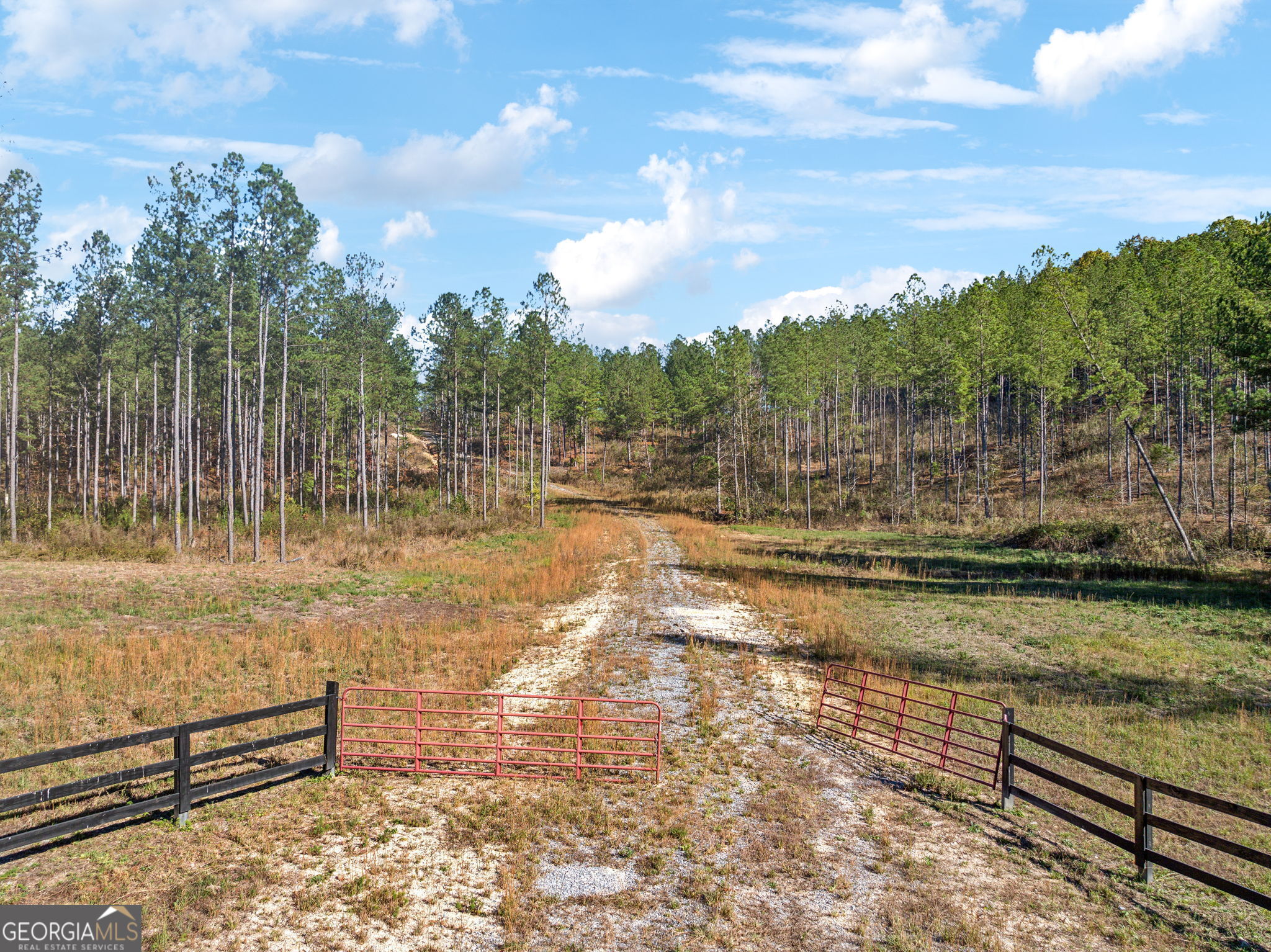0 County Road 62 Property Photo 10