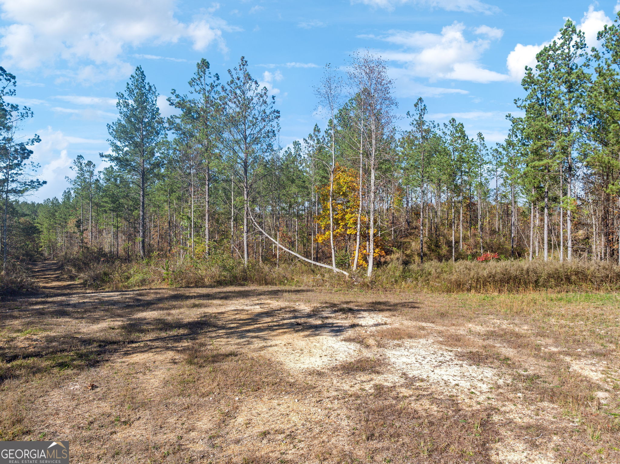 0 County Road 62 Property Photo 13