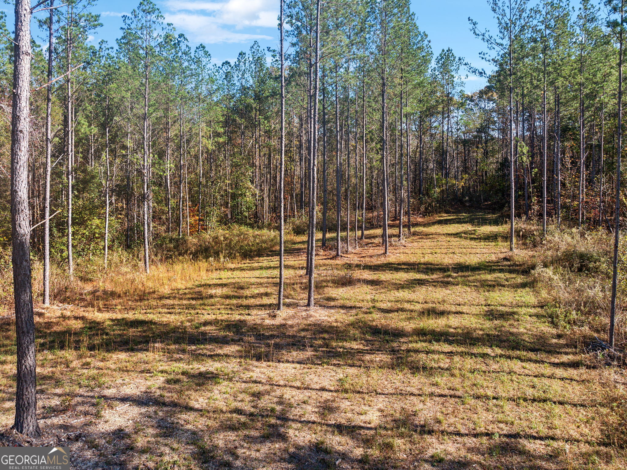 0 County Road 62 Property Photo 14