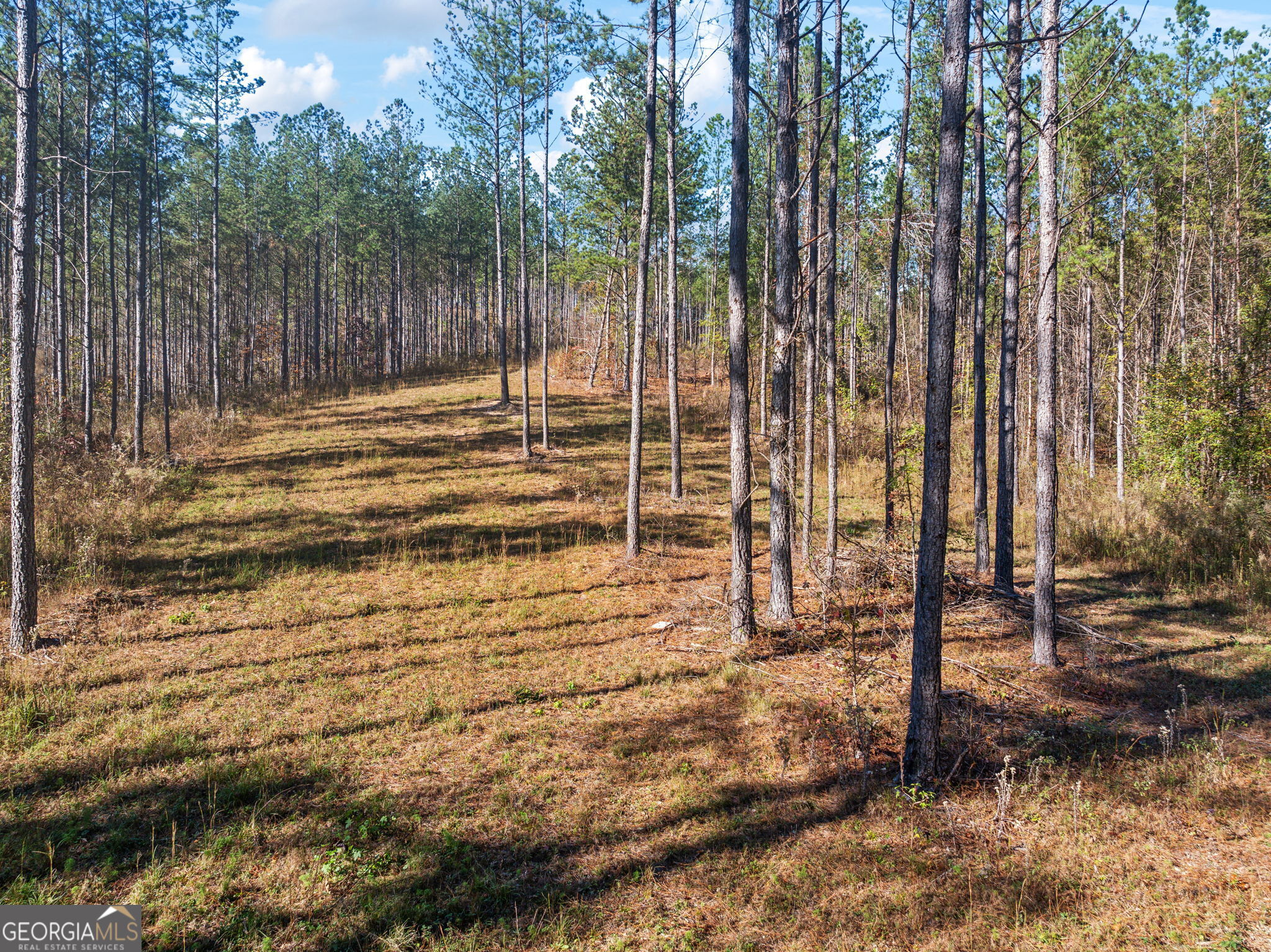 0 County Road 62 Property Photo 15
