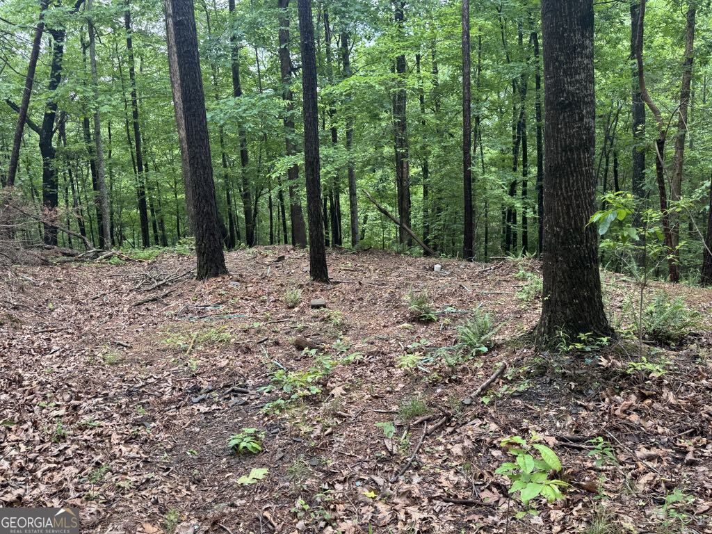 543 Parable Court Property Photo 1