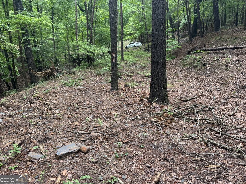 543 Parable Court Property Photo 2