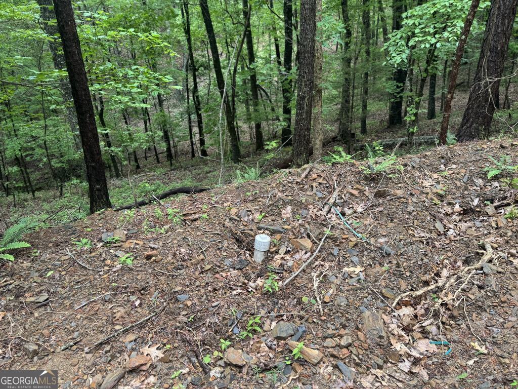 543 Parable Court Property Photo 3