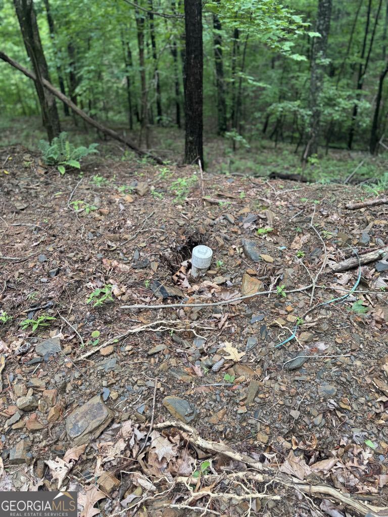 543 Parable Court Property Photo 4