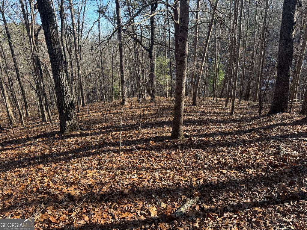 543 Parable Court Property Photo 7