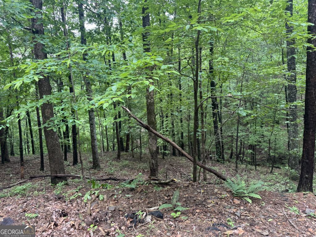 543 Parable Court Property Photo 11