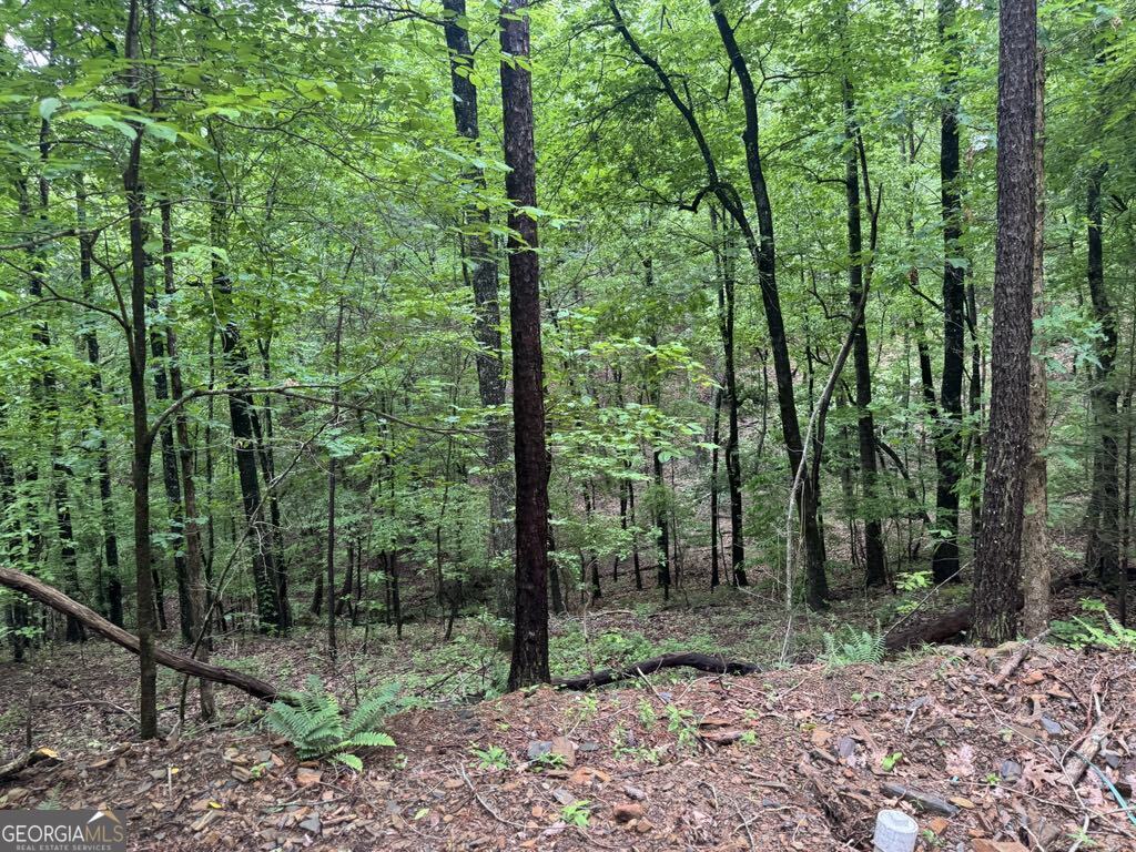 543 Parable Court Property Photo 12
