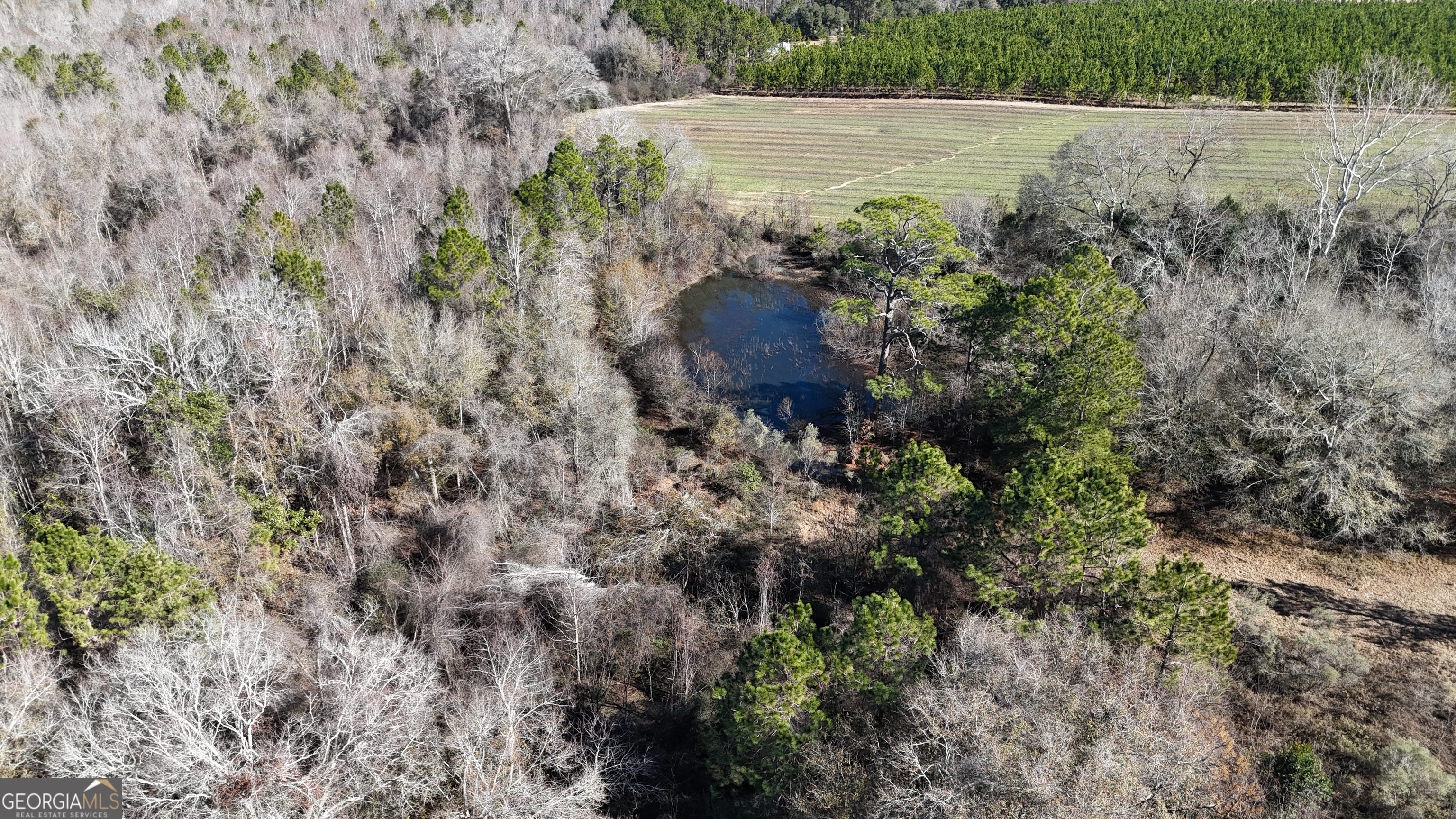 Irwinville Real Estate Listings Main Image
