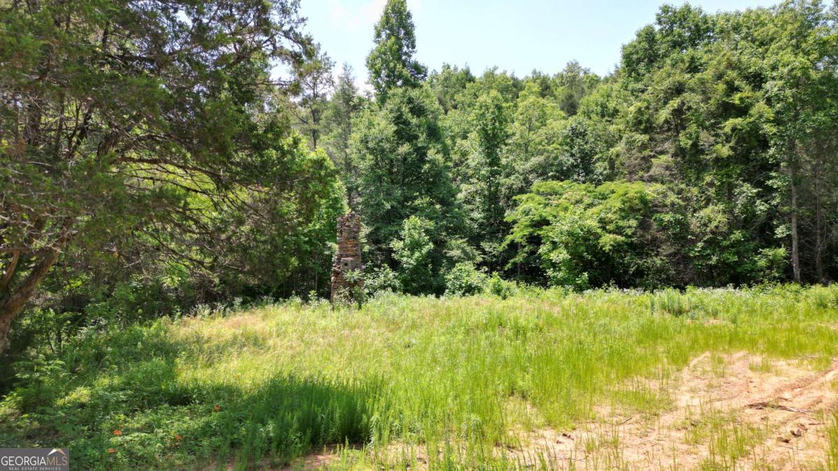 155ac Megan Trace Drive Property Photo 1