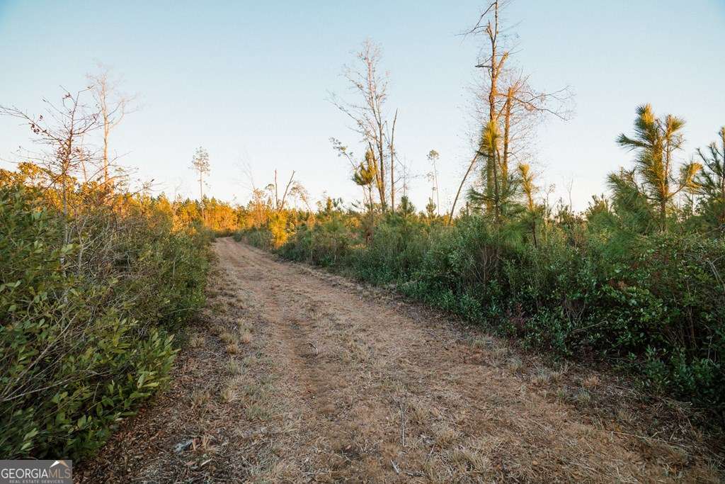 0 Chesapeake Rd (lot 4) Property Photo 2